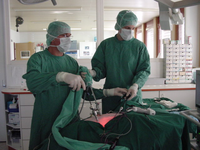 Stérilisation chienne sous Laparoscopie